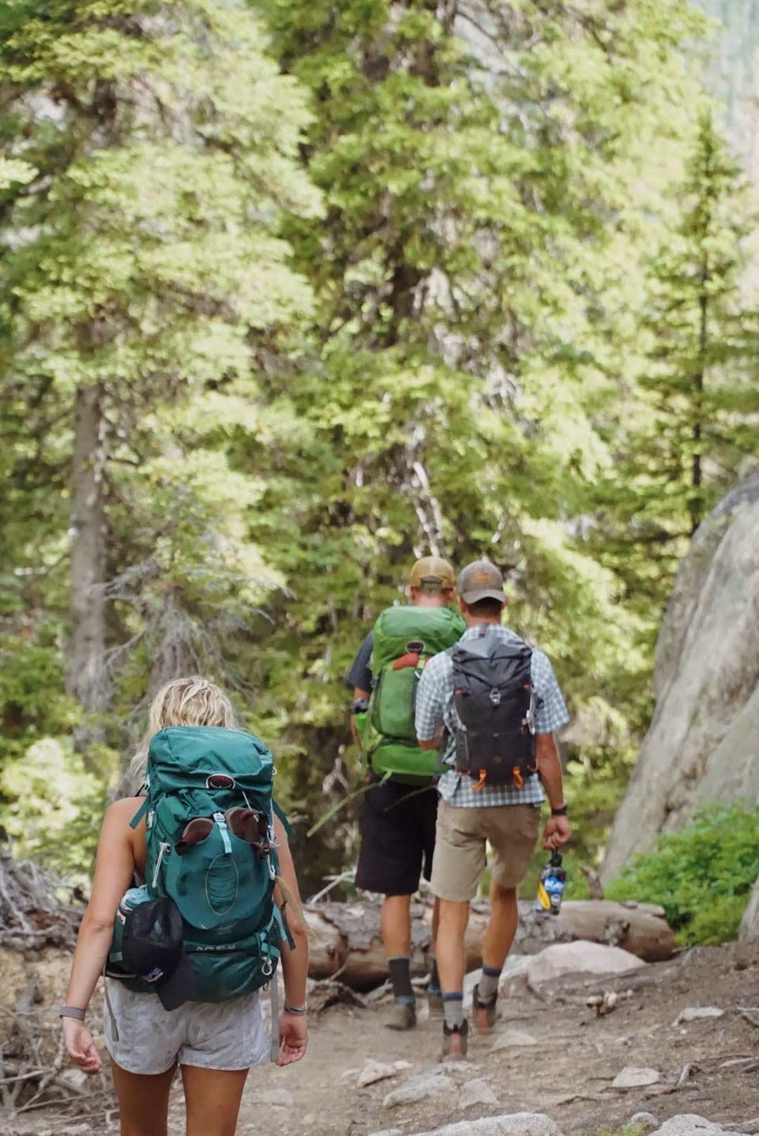 Three hikers with backpacks walking on a forest trail.