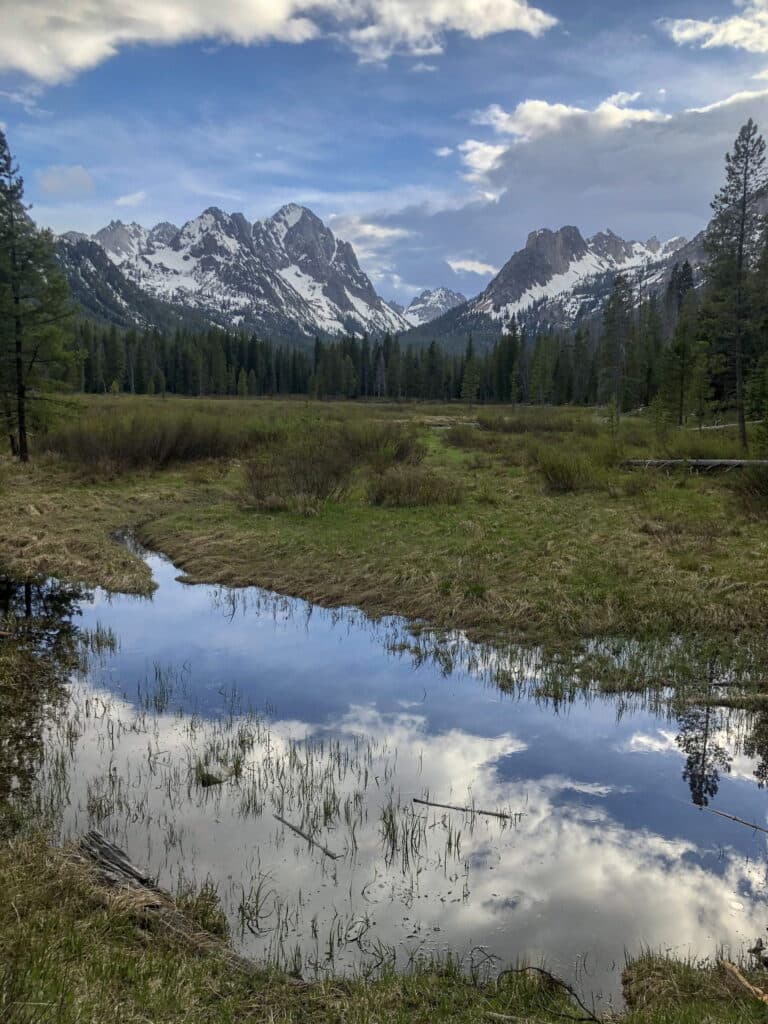Mountain landscape reflecting in a tranquil pond under a cloudy sky.