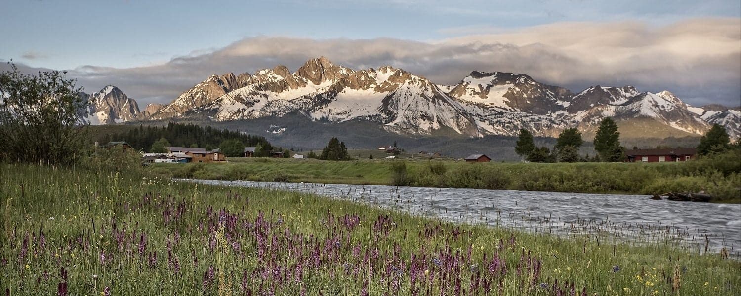 Snow-capped mountains rise majestically above a lush green valley and a serene river, adorned with blooming wildflowers.